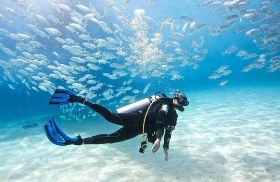 1_scuba-diving-full-day-boat-trip-for-beginners-with-lunch-transfer-hurghada