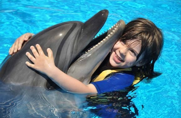 2000x2000-0-70-7abead2ad7b876985750562b397f64c6