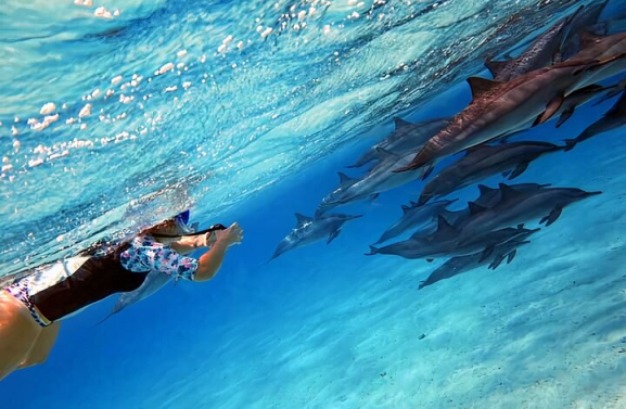 514413d5-c26c-43e8-9d77-a174ca475da4_sataya-dolphin-house-snorkel-trip-marsa-alam