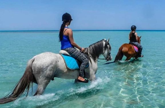 900x600-1-50-bad1f67a23df14f22f1a6289f2ec4e7b